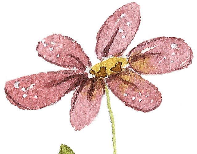 粉色小花水彩背景素材