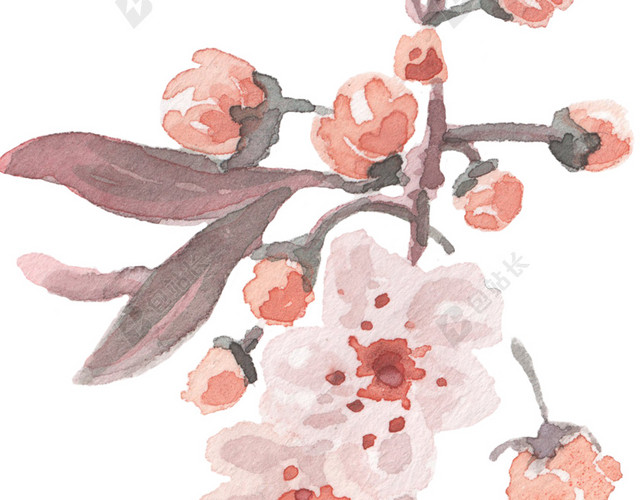 桃花水彩背景素材