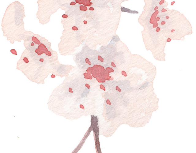 桃花水彩背景素材
