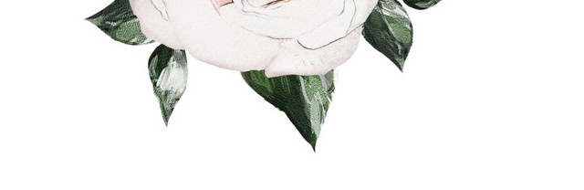 花朵水彩背景素材