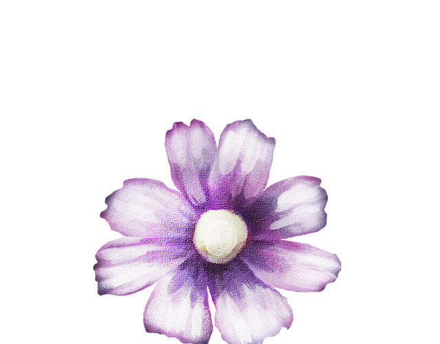 紫色花矢量素材