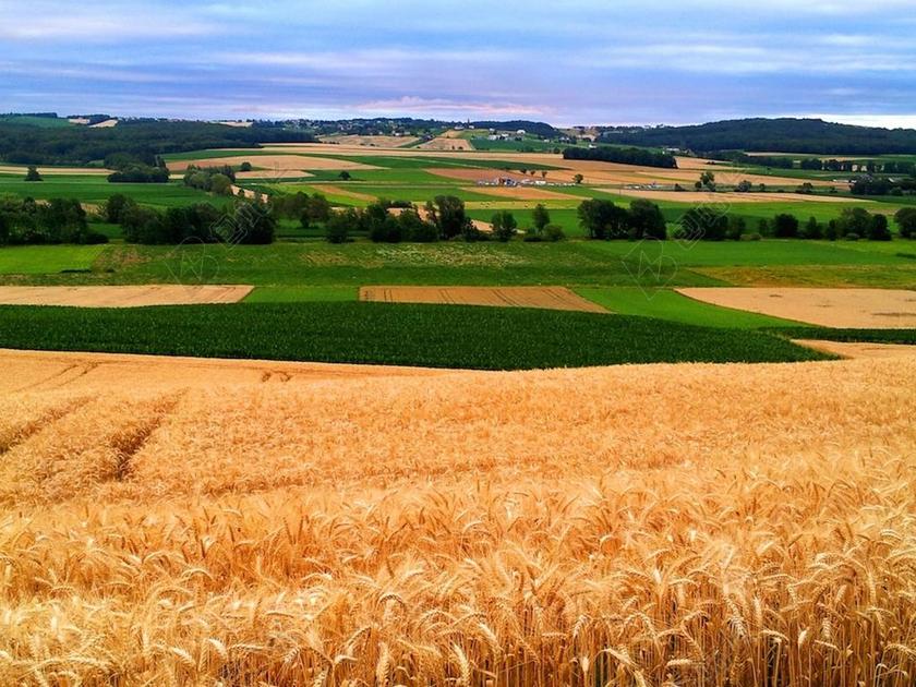 农业清新布尔根兰州背景图片