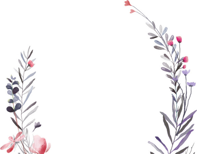 小鸟花朵叶子