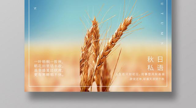 简约大气蓝色系二十四节气秋分中国传统节日节气海报