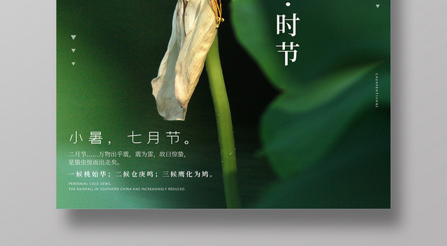 小清新传统二十四节日节气小暑宣传海报