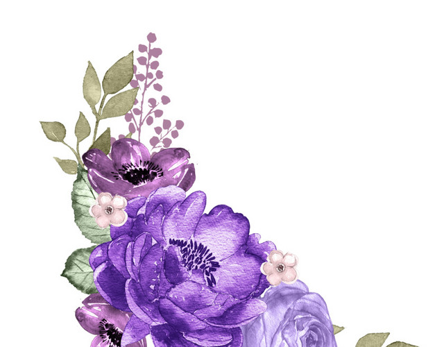 玫瑰花素材