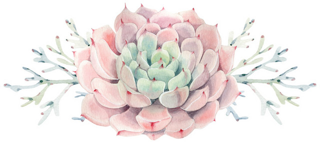 花卉素材