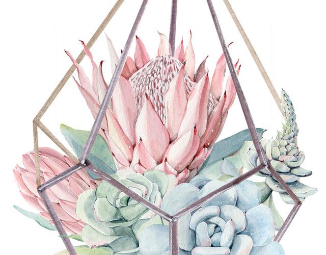 花卉吊篮素材