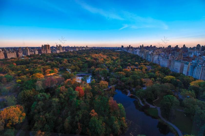 加拿大 天空 森林 树 蓝色 水 自然
