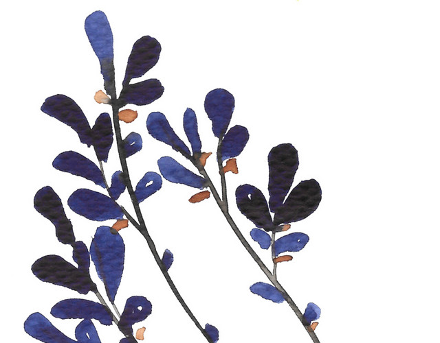 紫黑色花树枝