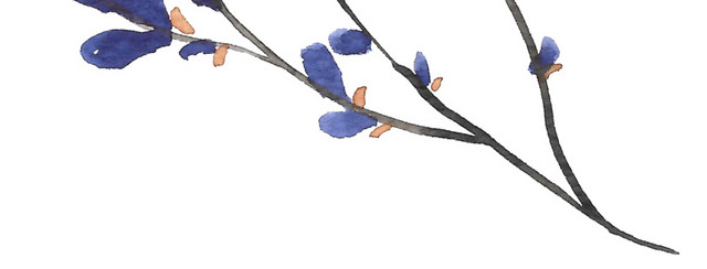紫黑色花树枝