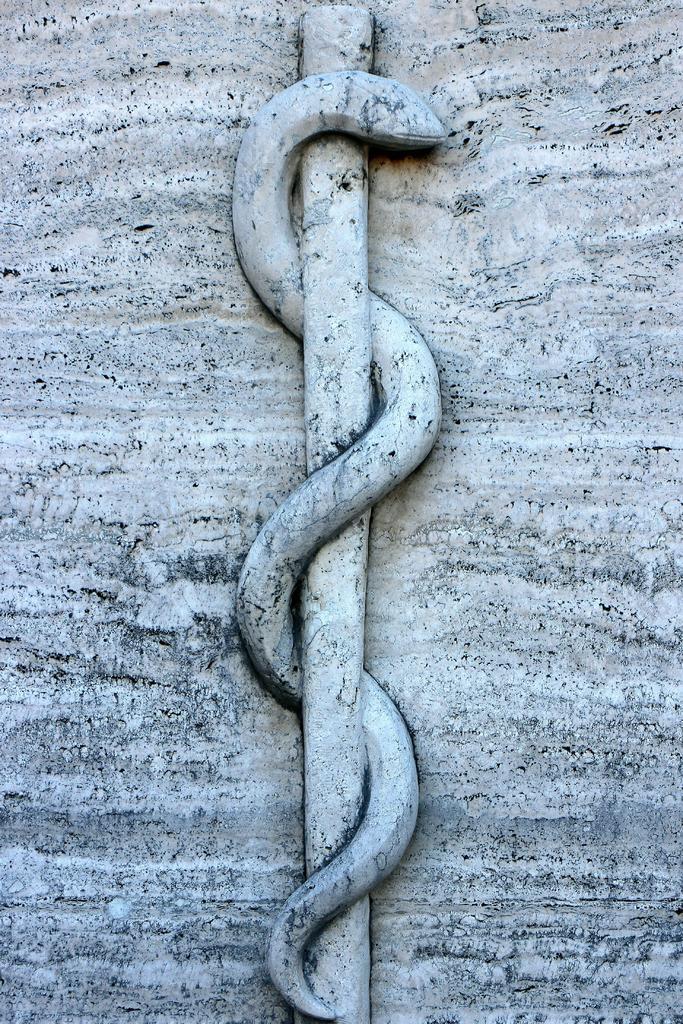 艺术纹理石头上的蛇雕像背景图片