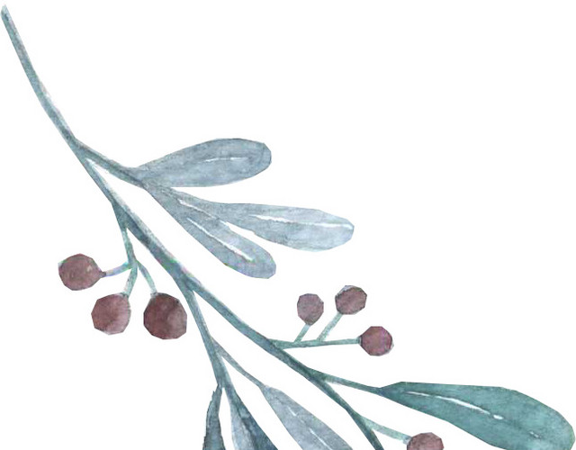 树叶矢量素材