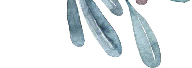 树叶矢量素材