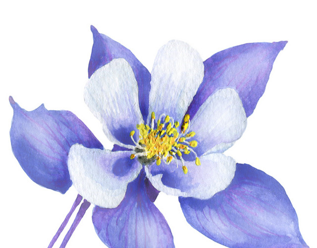 树枝花矢量素材