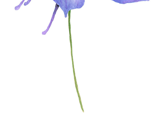 树枝花矢量素材