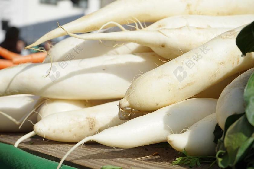 萝卜 白 蔬菜 基数 根 十字花科植物 种 白啤酒萝卜