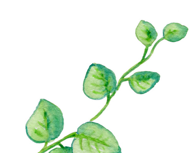 彩色水彩手绘植物藤蔓素材