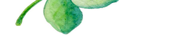 彩色水彩手绘植物藤蔓素材