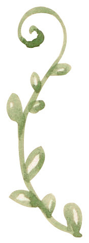 彩色水彩手绘植物藤蔓素材