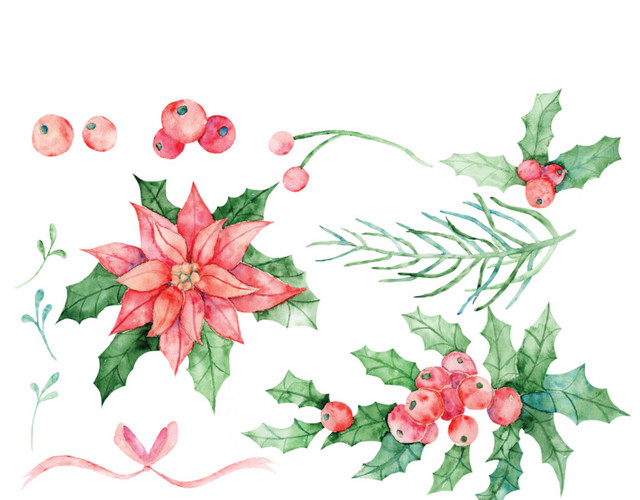 水彩彩绘植物花朵果实绘画素材