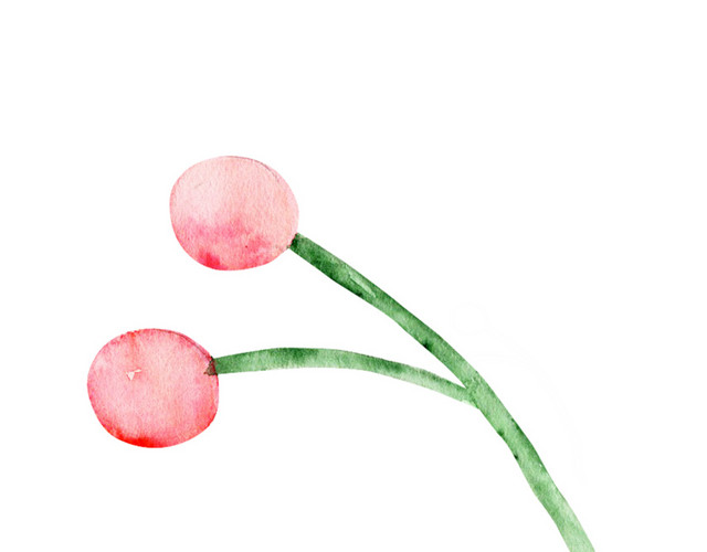 水彩彩绘植物红色果实绘画素材