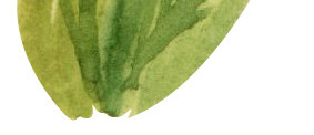 彩色水彩手绘植物海藻素材