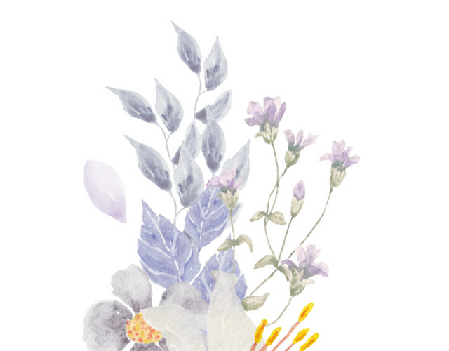 彩色水彩手绘植物花素材
