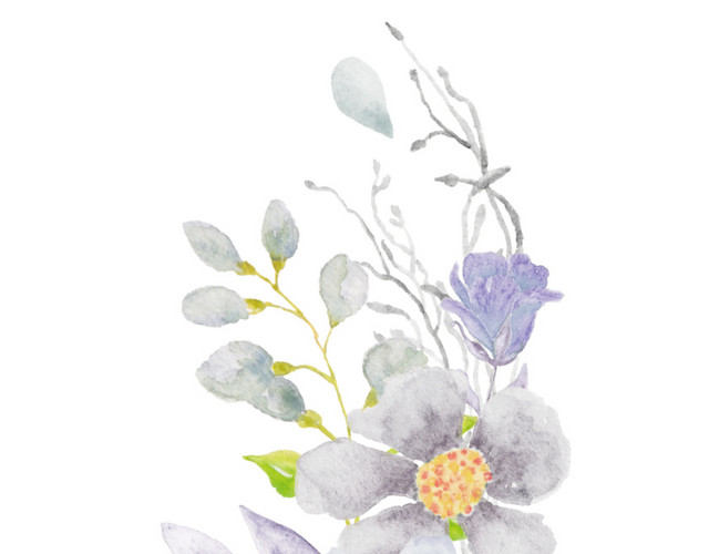 彩色水彩手绘植物花朵素材