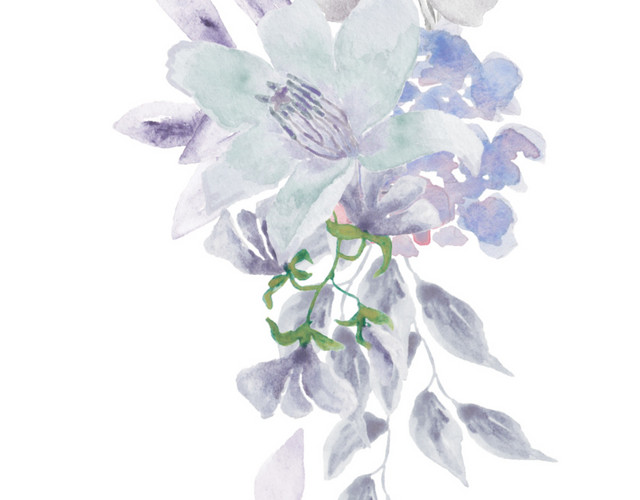 彩色水彩手绘植物花朵素材