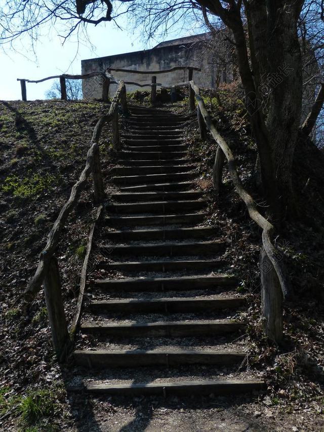 旅游自然森林里的石楼梯背景图片