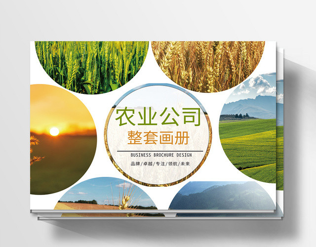 白色绿色简约农业产品画册