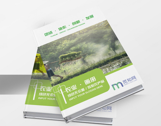 清新简约绿色水果蔬菜农产品宣传画册