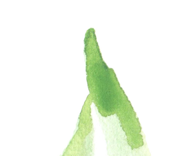 水彩绘画植物绿色叶子元素素材