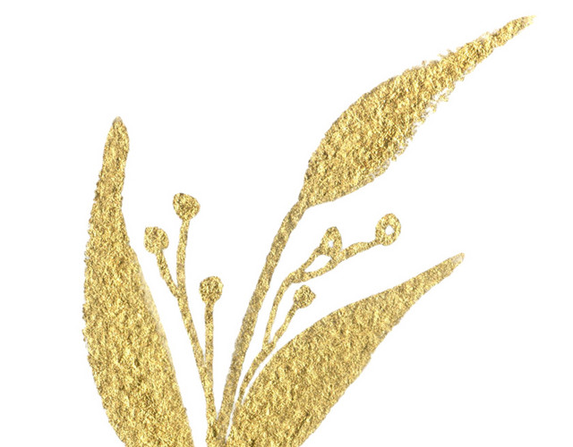 水彩绘画植物金色叶子元素素材