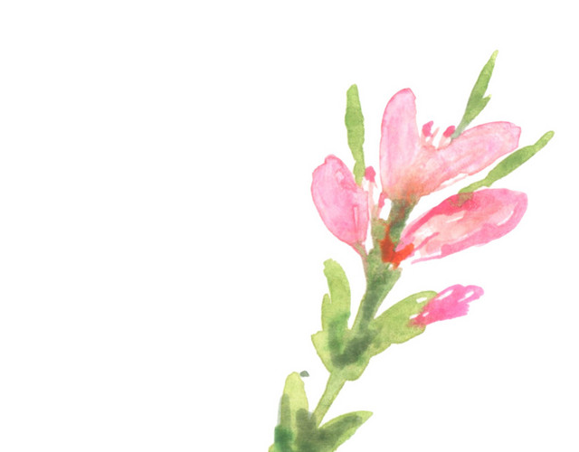 水彩绘画植物花朵元素素材
