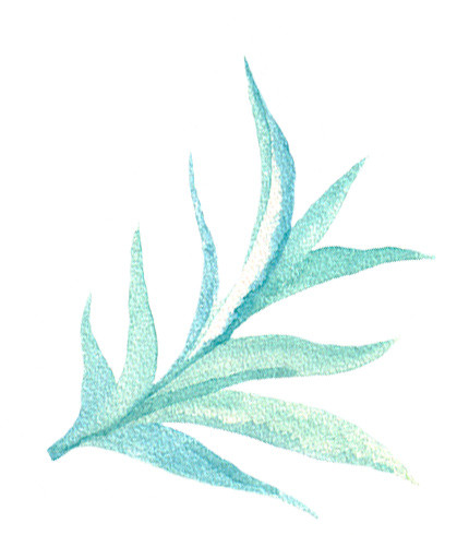 水彩绿植素材
