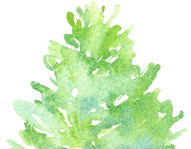 水彩手绘植物素材