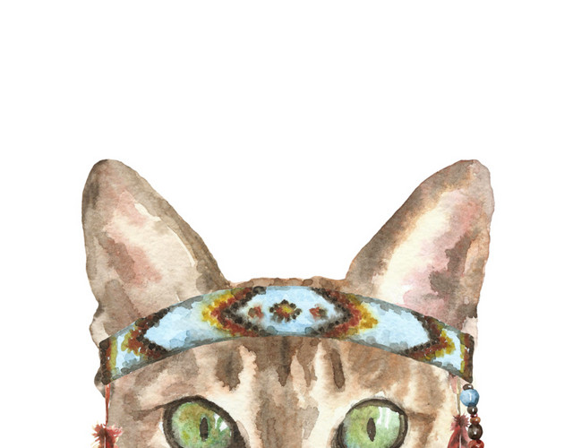 猫咪素材