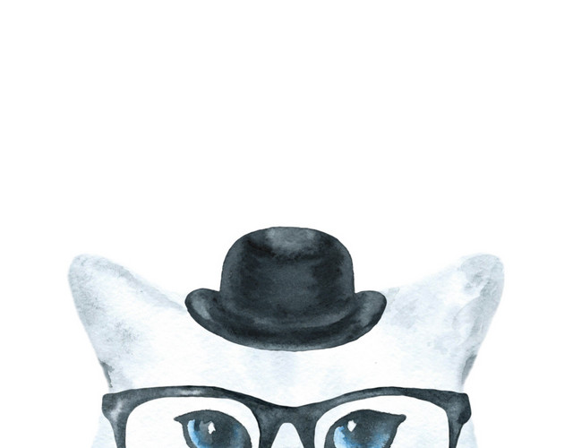 猫咪素材