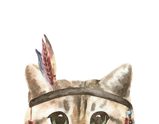 猫咪素材