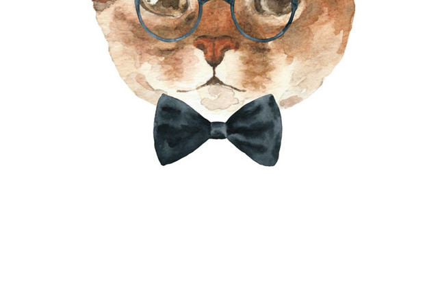 猫咪素材