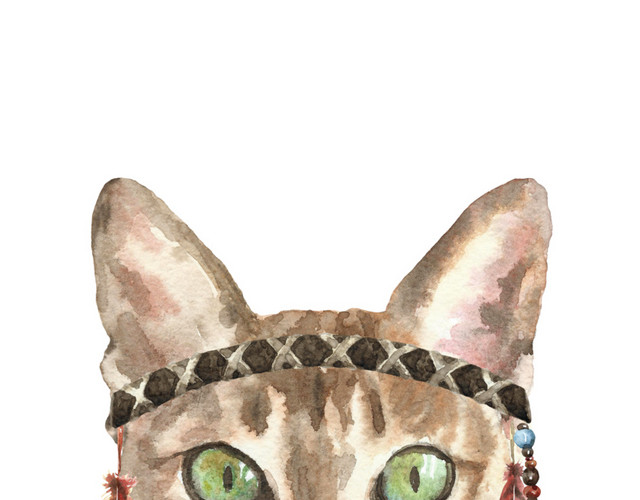 猫咪素材