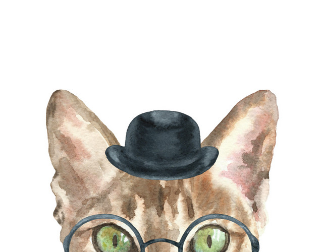 猫咪素材
