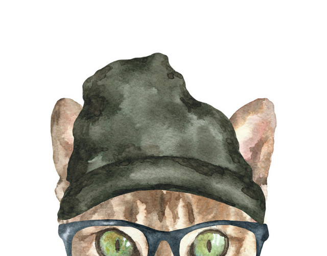 猫咪素材