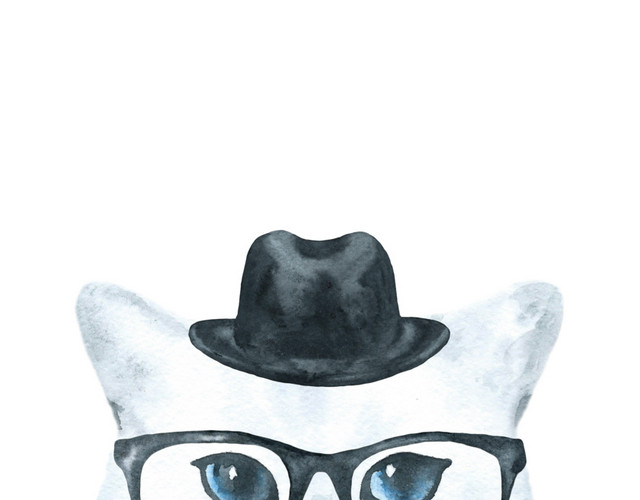 猫咪素材