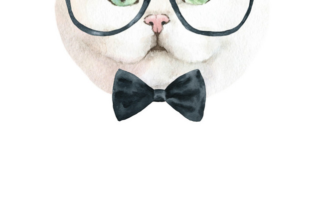 猫咪素材