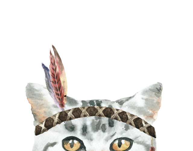 猫咪素材