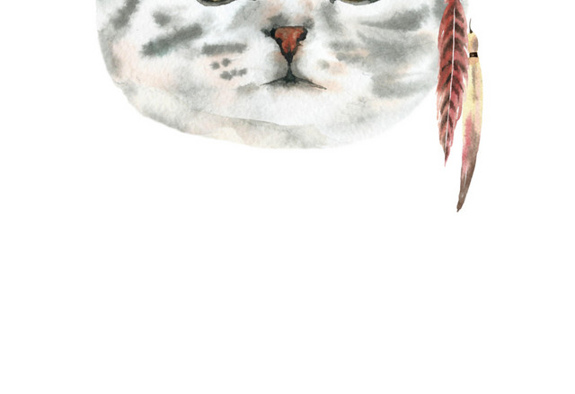 猫咪素材