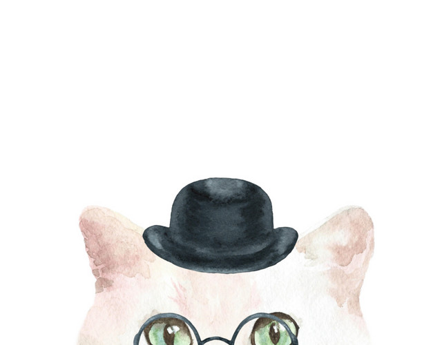 猫咪素材